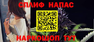mdpv Заводоуковск