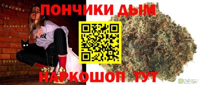 mdpv Заводоуковск