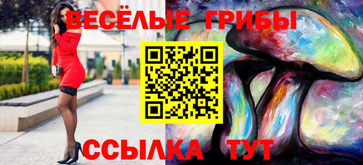 Куйбышев  Псилоцибиновые грибы мухоморы  Галлюциногенные грибы Magic Shrooms  Вход с VPN 